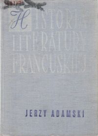 Miniatura okładki Adamski Jerzy Historia literatury francuskiej. Zarys.