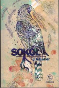 Miniatura okładki Baker J.A. Sokół. Opowieść o miłości do ginącej przyrody. 