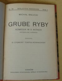 Zdjęcie nr 2 okładki Bałucki Michał Grube ryby. Komedja w 3 aktach. /Seria I. Nr 95/