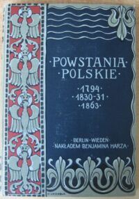 Miniatura okładki Bartoszewicz Kazimierz Dzieje Insurekcji Kościuszkowskiej 1794. /Powstania Polskie 1794 * 1830-31 * 1863/