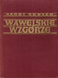 Miniatura okładki Bunsch Karol Wawelskie wzgórze.