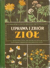 Miniatura okładki Cybulska H., Janiocka H., Wiszniewski J., Wysocka A. Uprawa i zbiór ziół.