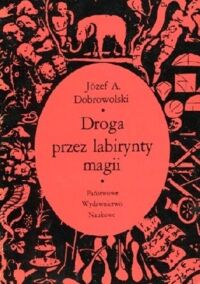 Miniatura okładki Dobrowolski Józef A. Droga przez labirynty magii.