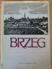 Miniatura okładki Dziewulski Władysław /red./ Brzeg. Dzieje - gospodarka - kultura.