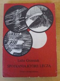 Miniatura okładki Grzesiuk Lidia Spotkania, które leczą. Doświadczenia z psychoterapii młodzieży.