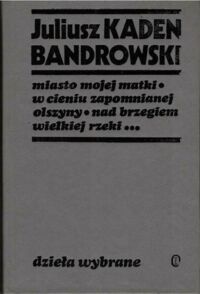 Miniatura okładki Kaden-Bandrowski Juliusz Miasto mojej matki. W cieniu zapomnianej olszyny. Nad brzegiej wielkiej rzeki. Wakacje moich dzieci. Aciaki z I A . /Dzieła Wybrane/ 