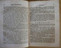 Zdjęcie nr 4 okładki Krasicki Ignacy Dzieła. Tomik IX. Życia zacnych mężów z Plutarcha. /Biblioteka Kieszonkowa Klassyków Polskich/