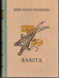 Miniatura okładki Kraszewski Józef Ignacy Banita. Czasy Stefana Batorego. /Cykl powieści historycznych obejmujących Dzieje Polski. Tom XXII/