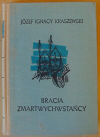 Miniatura okładki Kraszewski Józef Ignacy Bracia zmartwychwstańcy. Powieść z czasów Chrobrego. /Cykl powieści historycznych obejmujących Dzieje Polski. Tom III/