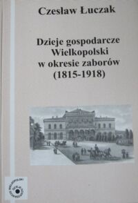 Miniatura okładki Łuczak Czesław Dzieje gospodarcze Wielkopolski w okresie zaborów (1815-1918). /Dzieje Gospodarcze Wielkopolski. Nr 4/