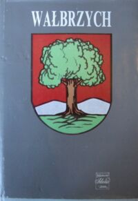 Miniatura okładki Michalkiewicz Stanisław /red./ Wałbrzych.Zarys monografii miasta na tle regionu. /Monografie regionalne Dolnego Śląska.