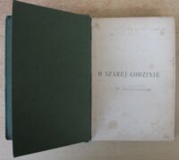 Zdjęcie nr 2 okładki Morawska Z. O szarej godzinie. Opowiadanie dziejów ojczystych.