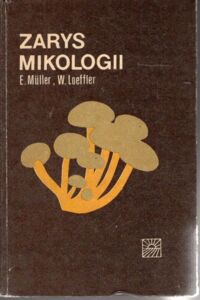 Miniatura okładki Muller E., Loeffler W. Zarys mikologii dla przyrodników i lekarzy.