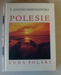 Miniatura okładki Ossendowski Antoni F. Polesie.