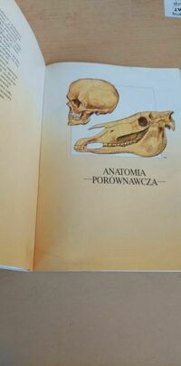 Zdjęcie nr 2 okładki Parramon Jose M. Anatomia człowieka.