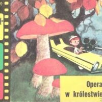 Miniatura okładki Pars Heino Operator Klaps w królestwie grzybów. /Multi Film/