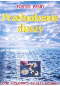 Miniatura okładki Perry Foster Przebudzenie duszy. Gdy błyskawica uderzy kolibra. 