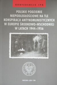 Miniatura okładki Poleszak Sławomir /red./ Polskie podziemie niepodległościowe na tle konspiracji antykomunistycznych w Europie Środkowo-Wschodniej w latach 1944-1956. /Konferencje IPN/