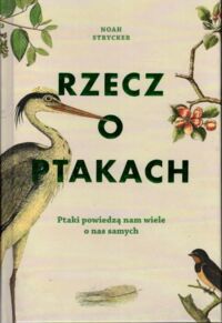 Miniatura okładki Strycker Noah Rzecz o ptakach.