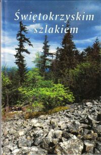 Miniatura okładki  Świętokrzyskim szlakiem.