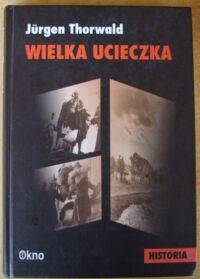 Miniatura okładki Thorwald Jurgen Wielka ucieczka.