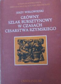 Miniatura okładki Wielowiejski Jerzy Główny szlak bursztynowy w czasach Cesarstwa Rzymskiego.