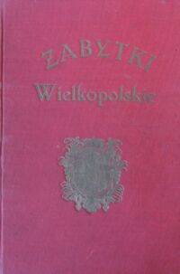 Miniatura okładki  Zabytki wielkopolskie. Ilustrowany przewodnik po Poznaniu i Wielkopolsce. Rys geograficzny. - Krótki przegląd historyczny. - Najważniejsze daty statystyczne. - Zabytki i osobliwości miast i wsi województwa Poznańskiego.