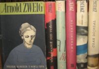 Miniatura okładki Zweig Arnold Wielka wojna białych ludzi. Tom I-VI. T.I.Młoda kobieta z roku 1914. T.II.Wychowanie pod Verdun. T.III.Spór o sierżanta Griszę. T.IV.Intronizacja. T.V.Umilkły działa. T.VI.Czas dojrzał.